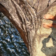 Jeremy Brandt Feet (6 photos)