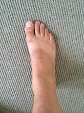 Tyler Labine Feet (23 photos)