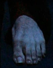 Daniel Radcliffe Feet (45 photos)