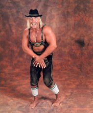 Hulk Hogan Feet (39 photos)