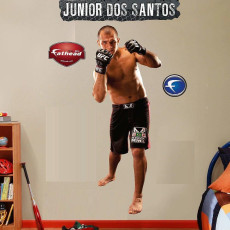 Junior Dos Santos Feet (37 photos)
