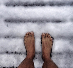 Wayne Carpendale Feet (28 photos)
