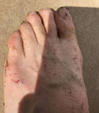 Rob Stone Feet (14 photos)