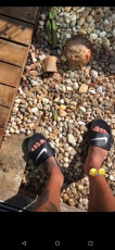 Luan Piazera Feet (50 photos)