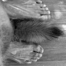Miguel Loyo Feet (11 photos)