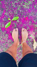 Nando Rodrigues Feet (24 pics)