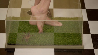 Rhett Mclaughlin Feet (2 images)