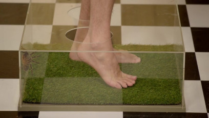 Rhett Mclaughlin Feet (2 images)