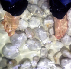 Ruy Senderos Feet (37 photos)