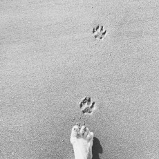 Simone Ripamonti Feet (27 photos)