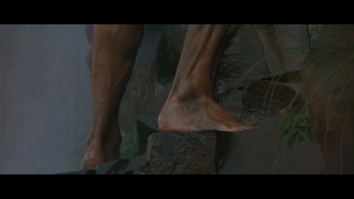 Jeremy Irons Feet