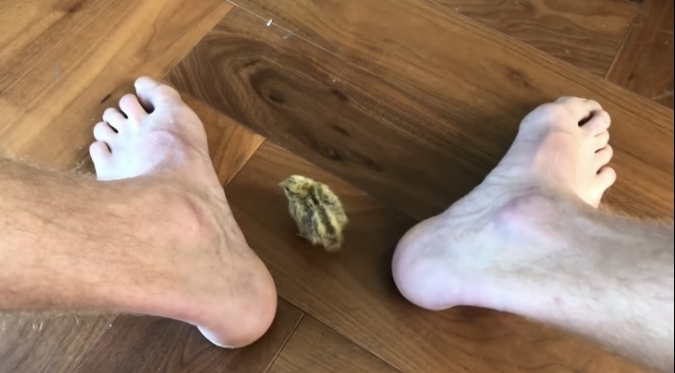 Josh Pieters Feet